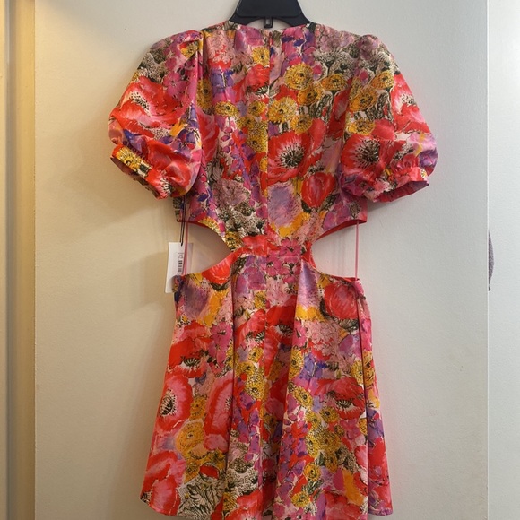 AMUR Cutout Dress - NWT - Picture 8 of 8